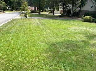 Damon T.'s Lawn Mowing Service service result
