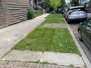 Nina H.'s Lawn Care service result