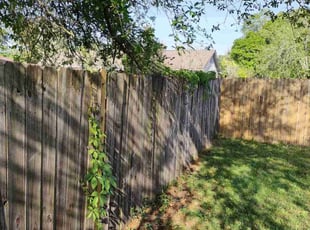 Bush Trimming by Macon Ramsey for Shawn C. in Jacksonville, FL