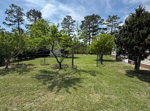 Daryl L.'s Yard Cutting service result