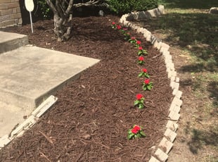 Landscaping by Juan Antonio Perez Vazquez for Renee K. in McKinney, TX
