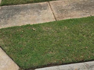 Cleanups by Keily Delgado Preciado for Denise B. in Round Rock, TX