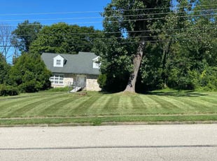 Patty K.'s Lawn Mowing service result