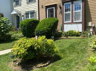Bush Trimming by Terrence Barber for Matilda S. in Bowie, MD