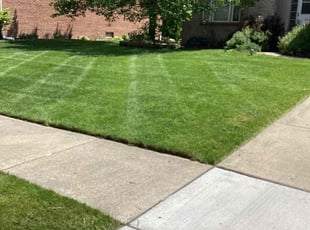 Dale Z.'s Lawn Mowing service result