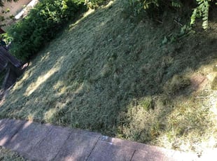 Chan S.'s Lawn Service service result