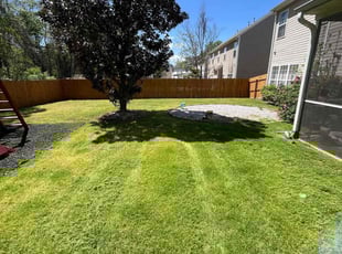 Bruce B.'s Lawn Service service result