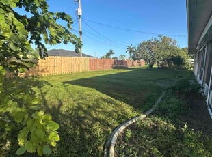 Erica C.'s Grass Cutting service result