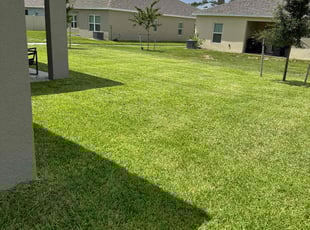 Doug C.'s Lawn Mowing service result