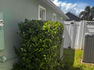 Bush Trimming by James Ramey for Eserophe A. in Kissimmee, FL