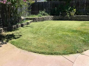 Pooja B.'s Lawn Mowing service result