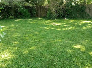 Pam L.'s Lawn Service service result