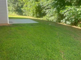 Kris D.'s Lawn Care service result
