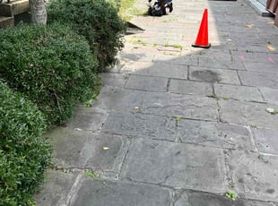 Bush Trimming by Devonta Wooten for Marjorie P. in New Orleans, LA