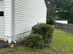 Bush Trimming by candelario castillo for Marc S. in Springfield, VA