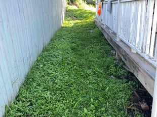 Cleanups by Malik Mackey for Malikah J. in Wilkes-Barre, PA