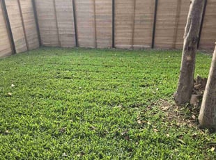 Darleen L.'s Lawn Maintenance service result