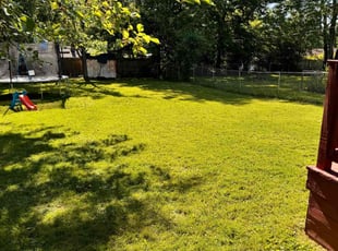 MICHAEL G.'s Lawn Care service result