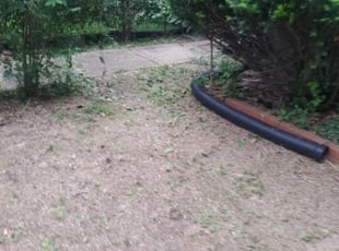 Bush Trimming by Chris Stewart for Joseph P. C. in Washington, DC