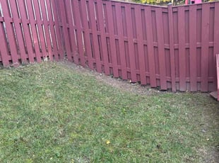 Weeding by candelario castillo for George J. in Alexandria, VA
