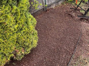Leaf Removal by Shepherd Dhlamini for Theresa C. in Ayer, MA