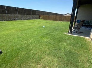 Dan G.'s Lawn Mowing Service service result