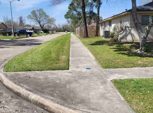 Juanita M.'s Lawn Mowing service result