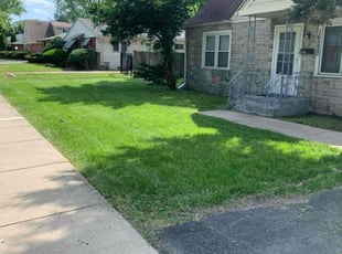 Joyce A.'s Lawn Mowing service result