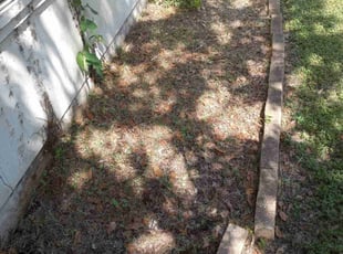Weeding by Derrick Dlouhy for Kia M. in Pflugerville, TX