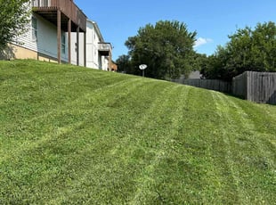 Andrea H.'s Lawn Service service result