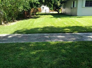 Paul N.'s Lawn Mowing Service service result