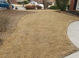 Leaf Removal by Christina Thomas for Katie D. in Alpharetta, GA