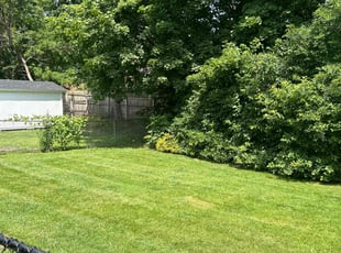 Michael H.'s Yard Cutting service result