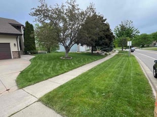 Najmo H.'s Lawn Care service result