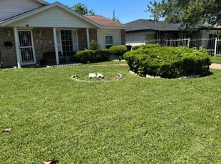 Valerie M.'s Lawn Mowing service result