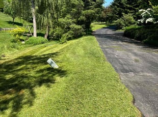 Laura H.'s Lawn Mowing Service service result