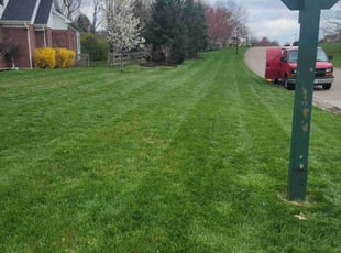 Abagail M.'s Lawn Mowing Service service result