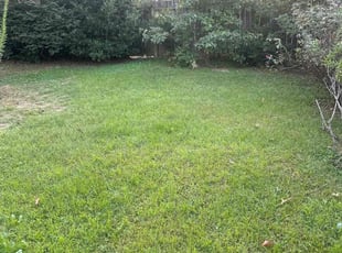 Willy d.'s Yard Cutting service result