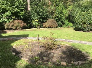 Cleanups by Angel P. for Maggie P. in Fairfax, VA