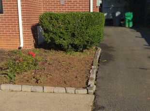 Bush Trimming by Rodney Wheeler for Kache D. in Charlotte, NC