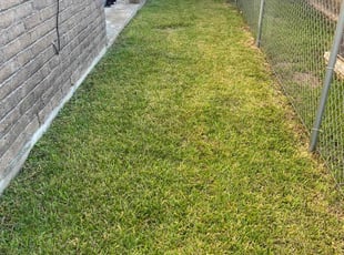 Joanne D.'s Yard Cutting service result