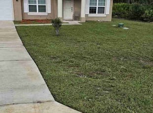 Madeline M.'s Grass Cutting service result