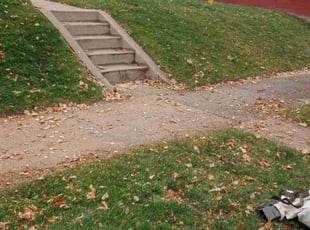 Leaf Removal by Alley Parker for Dan K. in Denver, CO