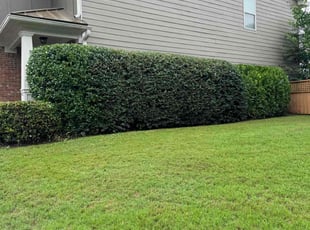 Kelley B.'s Lawn Service service result