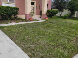 Bush Trimming by Antavious Gray for Evelyn M. in Orlando, FL