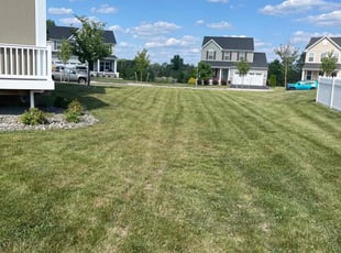 Alex L.'s Lawn Care service result