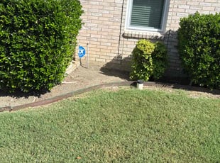 Weeding by Rosa Valencia for David V. in Rockwall, TX