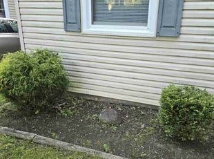 Bush Trimming by Justin Pruiett for Belincia S. in Akron, OH