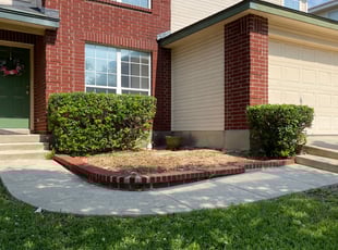 Bush Trimming by Juan Vazquez for Patsy D. in San Antonio, TX