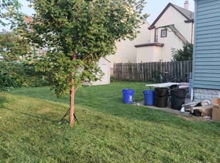 Jennifer E.'s Lawn Service service result